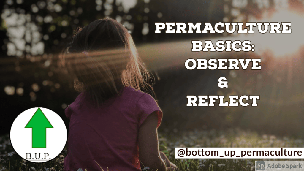Reflect Observe Permaculture Design Basics: Observe and Reflect – Bottom Up Permaculture